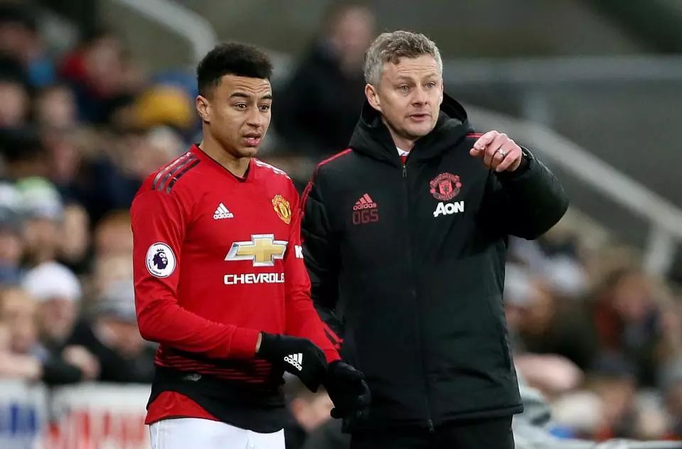 体育德州市青少年游泳比赛开赛